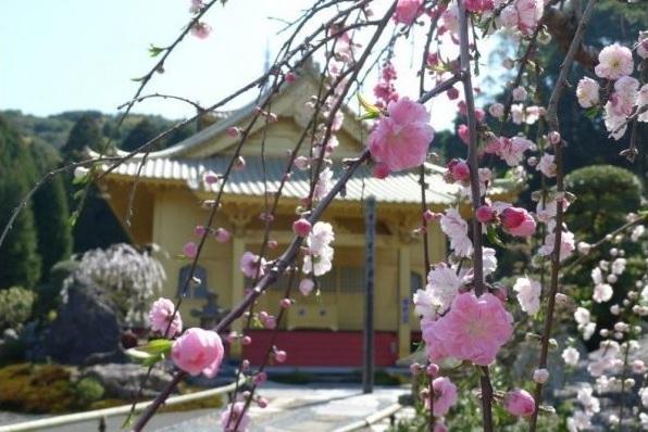 不動山青隆寺-1