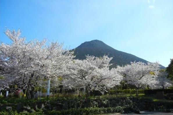 开闻山麓交流公园·户外露营场-1