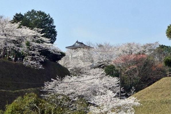 Matsuyama Castle Ruins-1