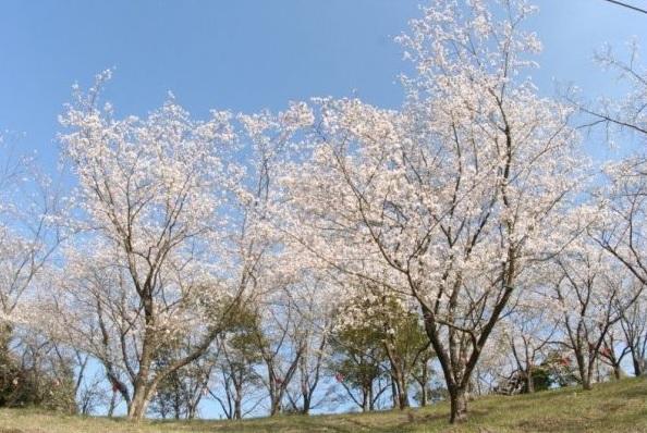 Ariake Kaiden no Sato Park-1