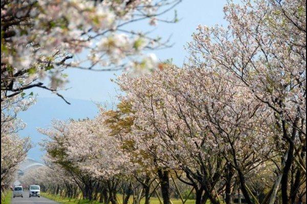 Kushira Heiwa Park-1