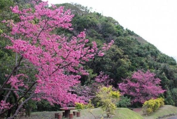 요 전망대-1