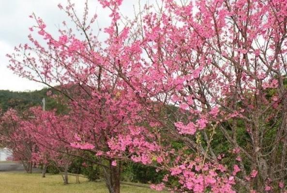 须野水坝-1