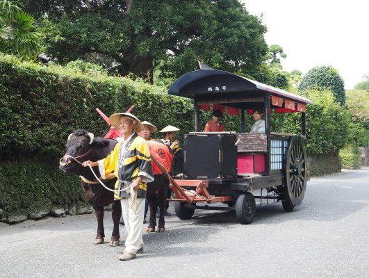 Izumi Oxcart Rides-1