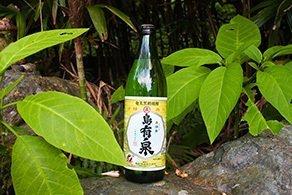 岛有泉（奄美黑糖烧酒）-1