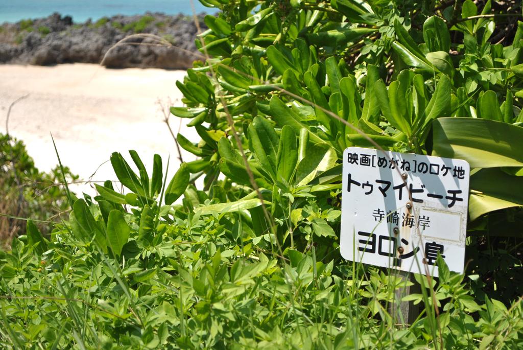寺崎海岸