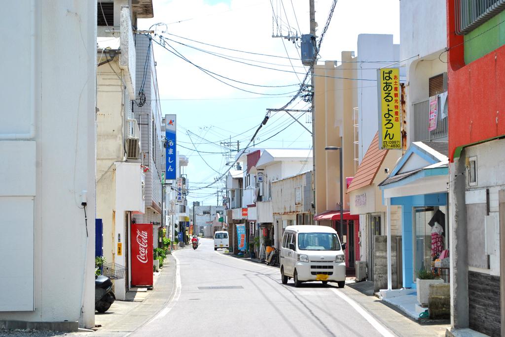 茶花の商店街散策