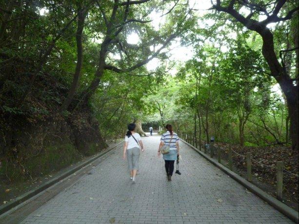  【2일째】시로야마전망대・시로야마 자연 산책길 
