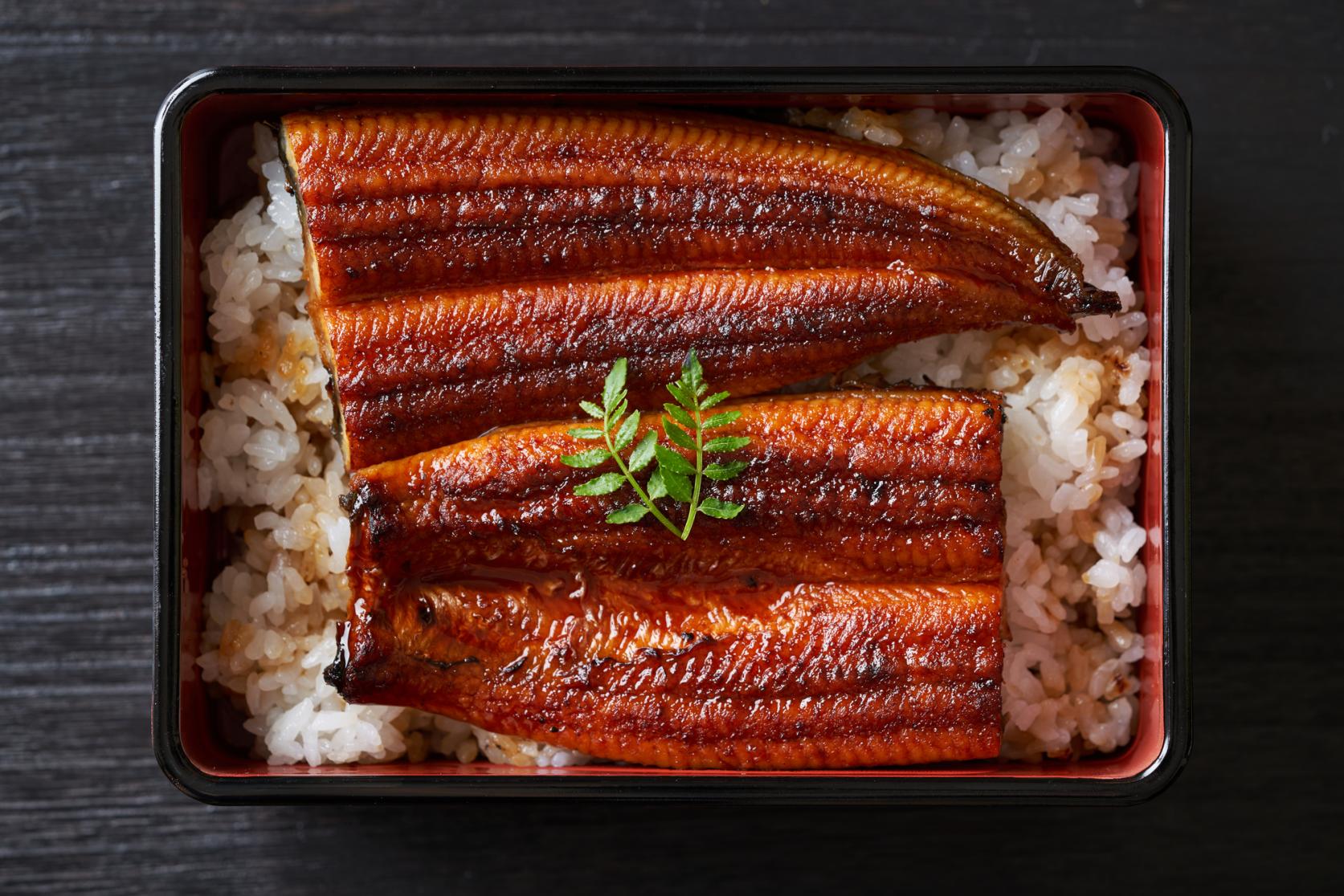 Unagi Eel-1