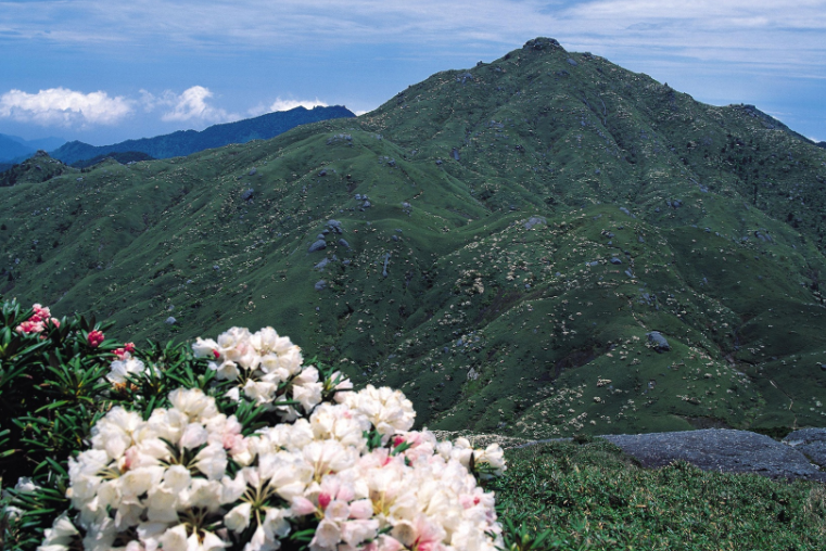 Mt. Miyanoura-1