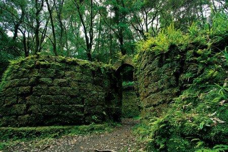  寺山炭窯跡 