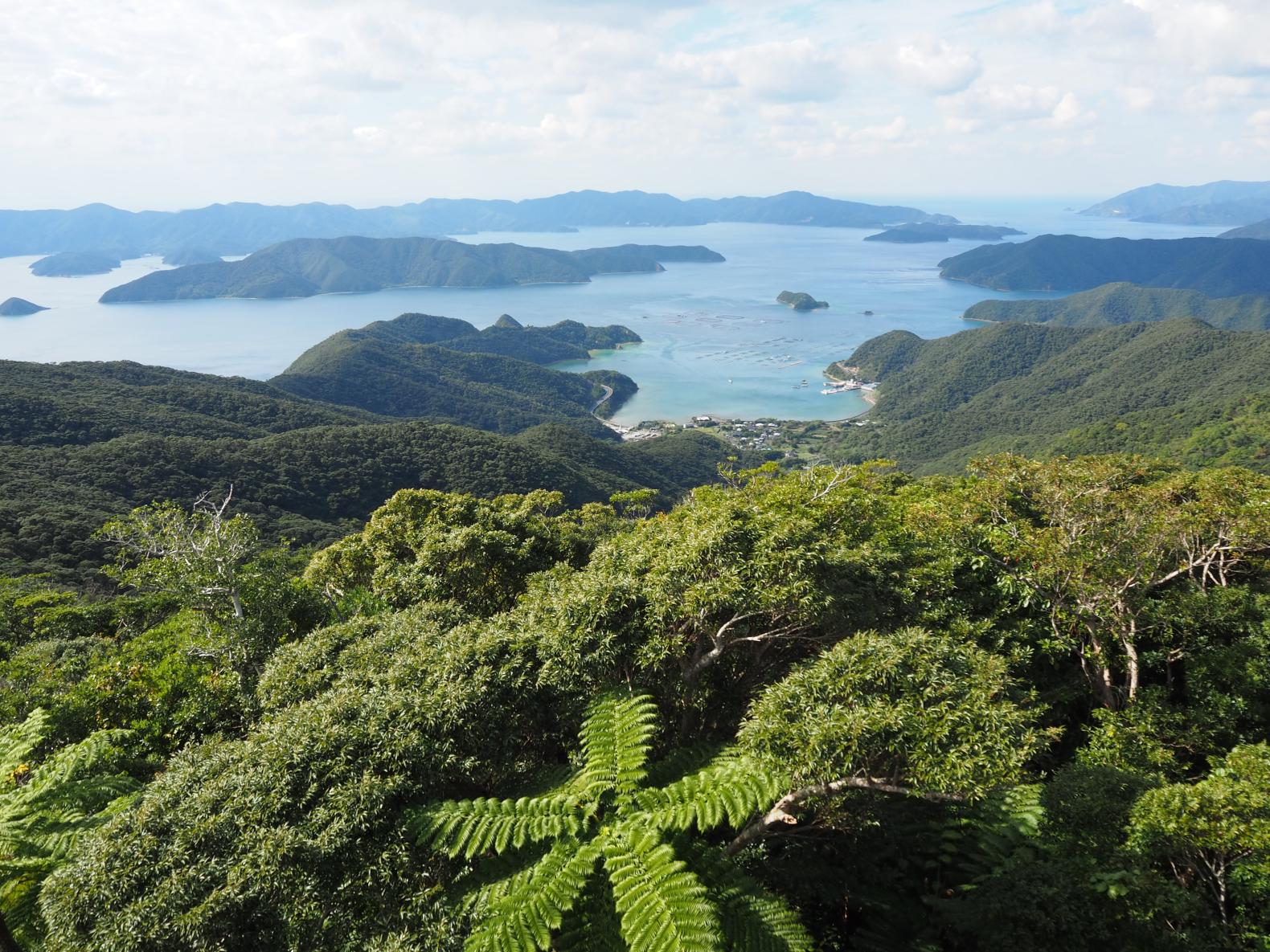  油井岳・高知山展望台 