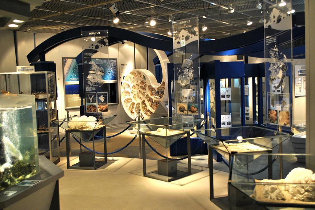 Amami Kaiyo Tenjikan (Maritime Museum)-1