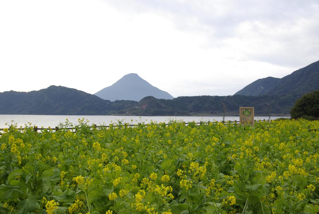  池田湖 