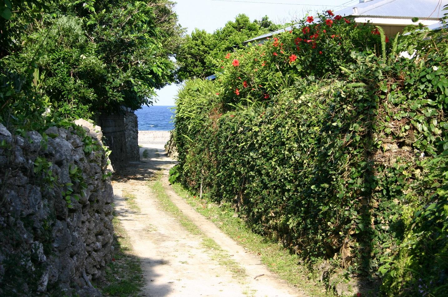 Coral stone walls of Aden Village-1