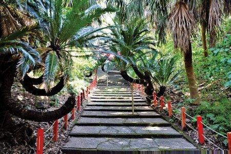  御崎神社 