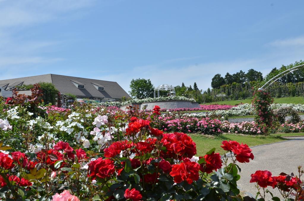 Kanoya Rose Garden-1