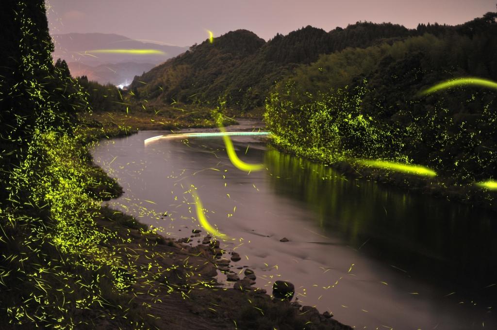 Okusatsuma Firefly Boat In Satsuma Town-1