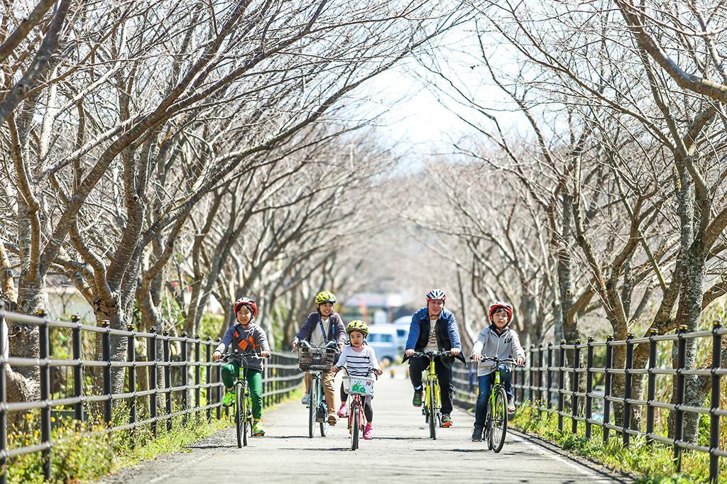 「Cycling Terminal Rin Rin 」-1