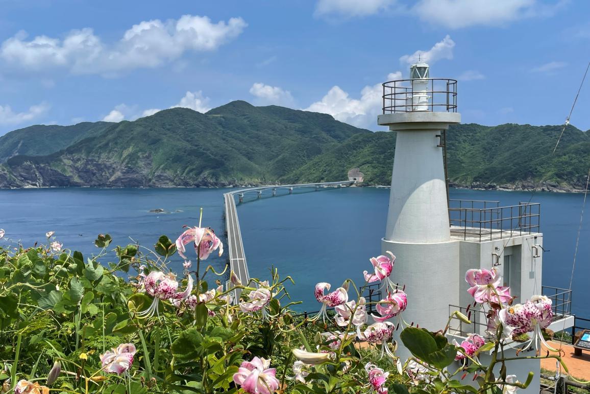 鳥ノ巣山展望台:スロープが整備されています
