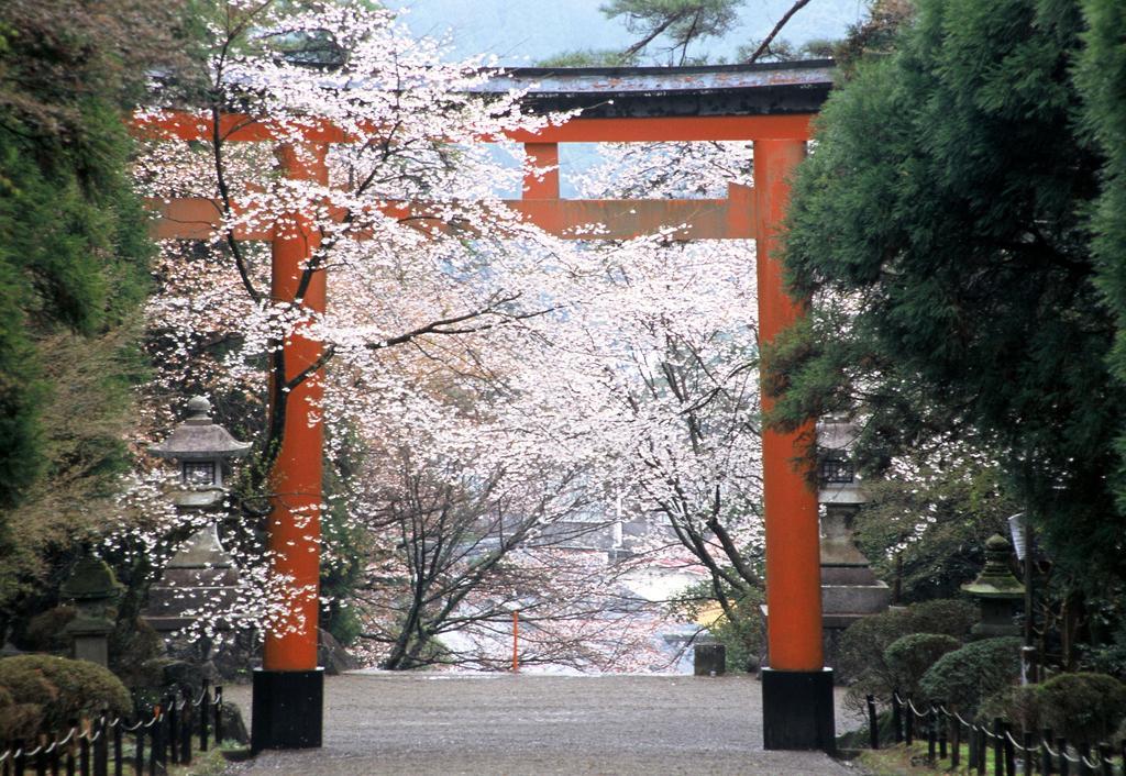 Kirishima Jingu Shrine-1