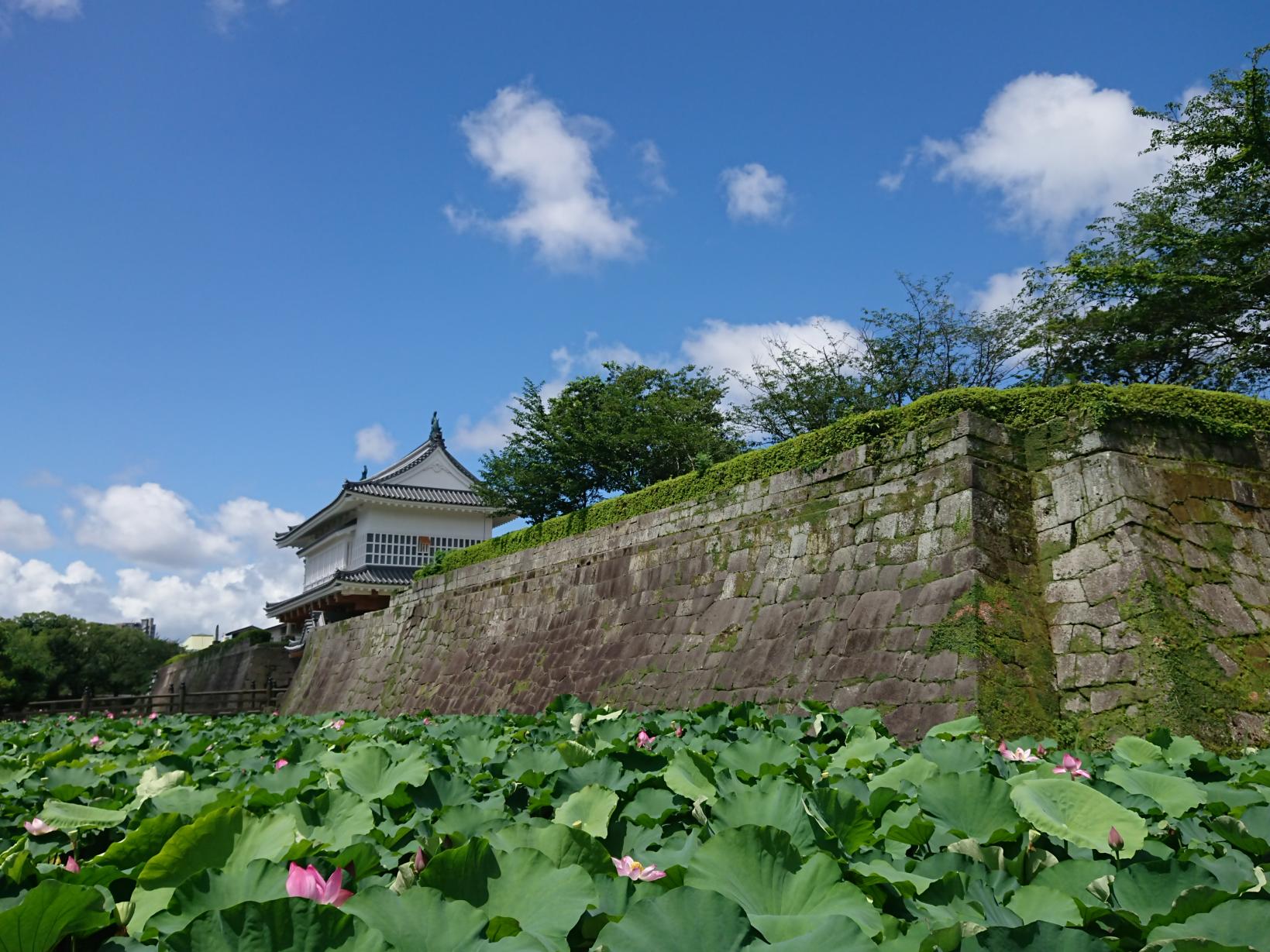  鹿児島城跡 