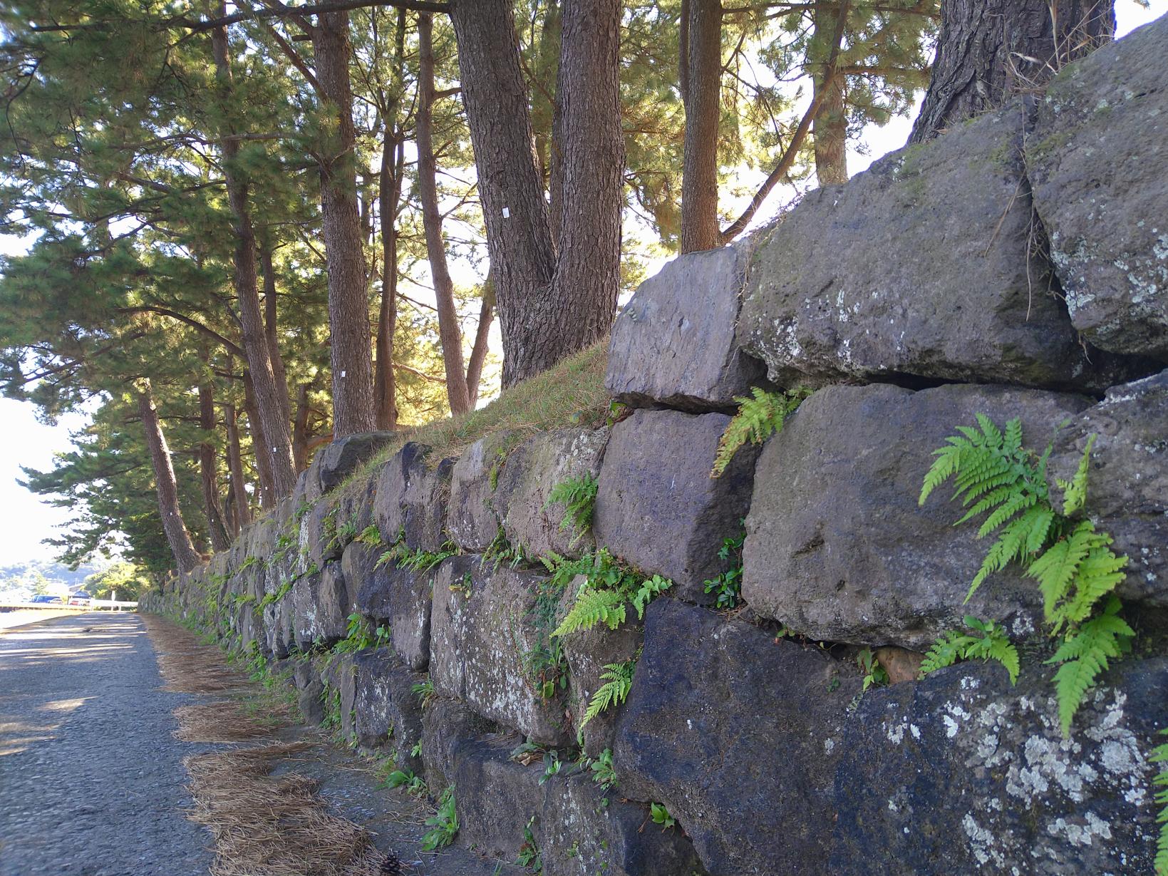  今和泉島津家屋敷跡(今和泉麓) 