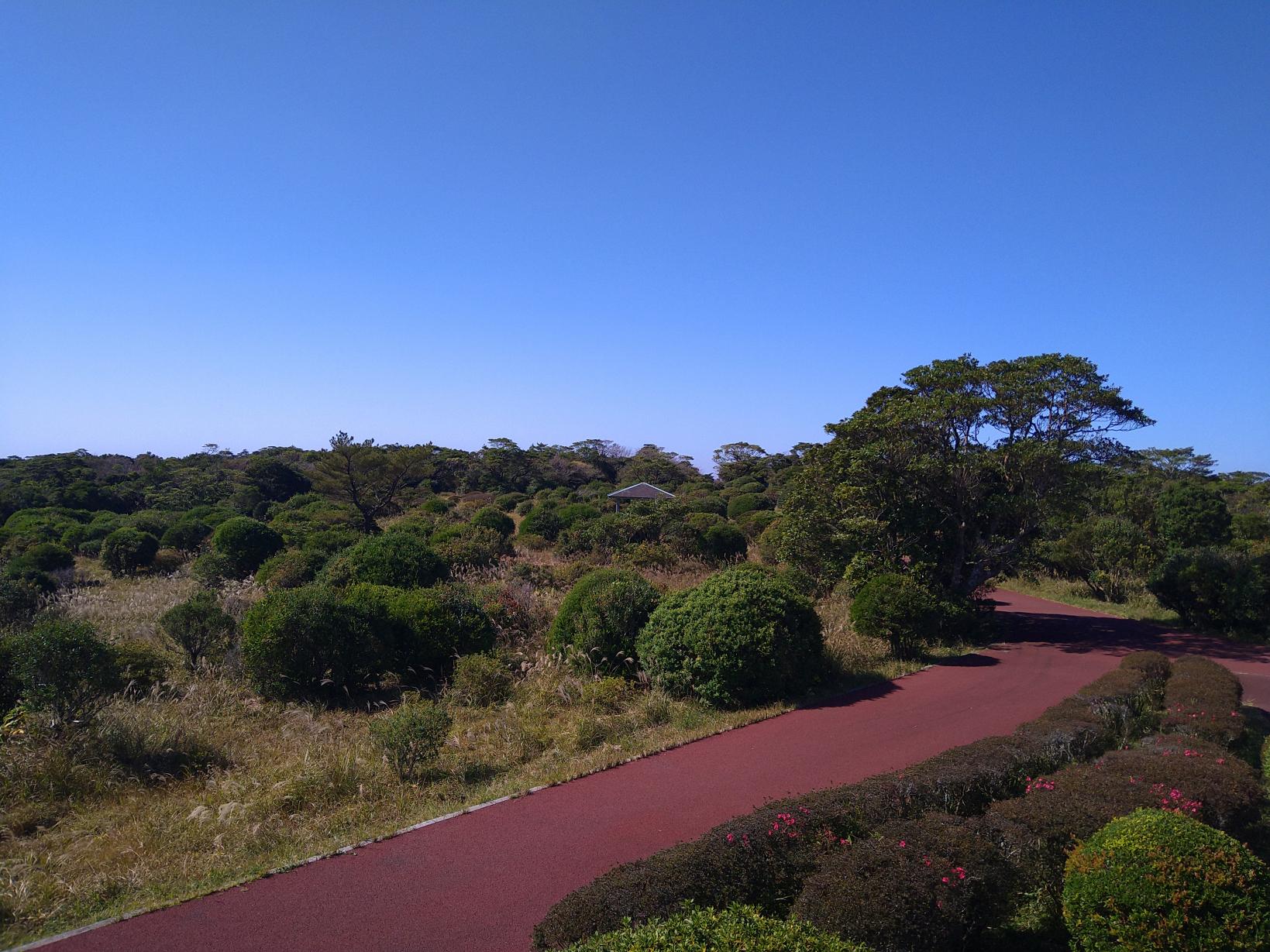  千貫平自然公園 