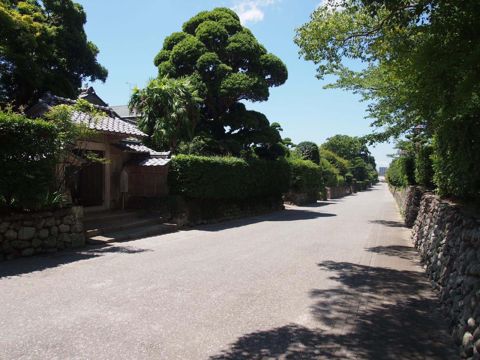 見どころ②出水麓-1