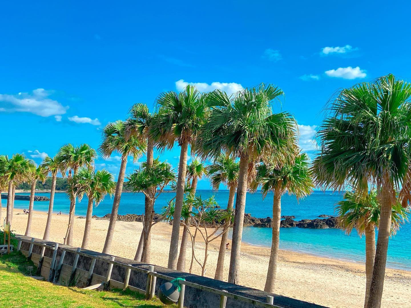 #ばしゃ山村&nbsp;#奄美大島(奄美市)-1