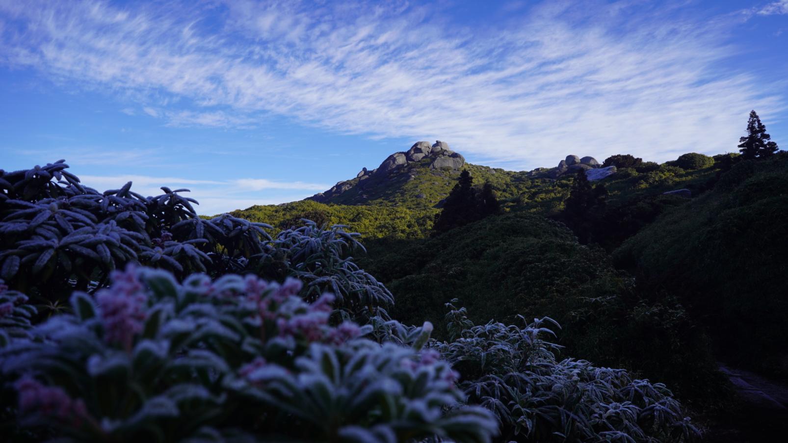 #宮之浦岳登山中に見えた翁岳 #屋久島(屋久島町)-1