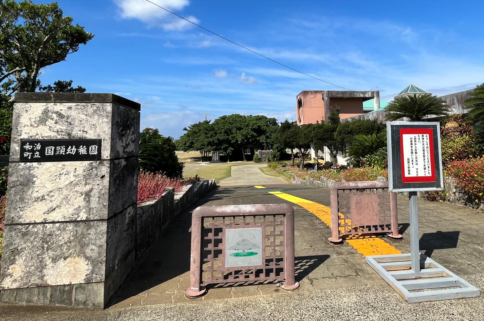 #日本一のガジュマル&nbsp;#沖永良部島（和泊町）-1