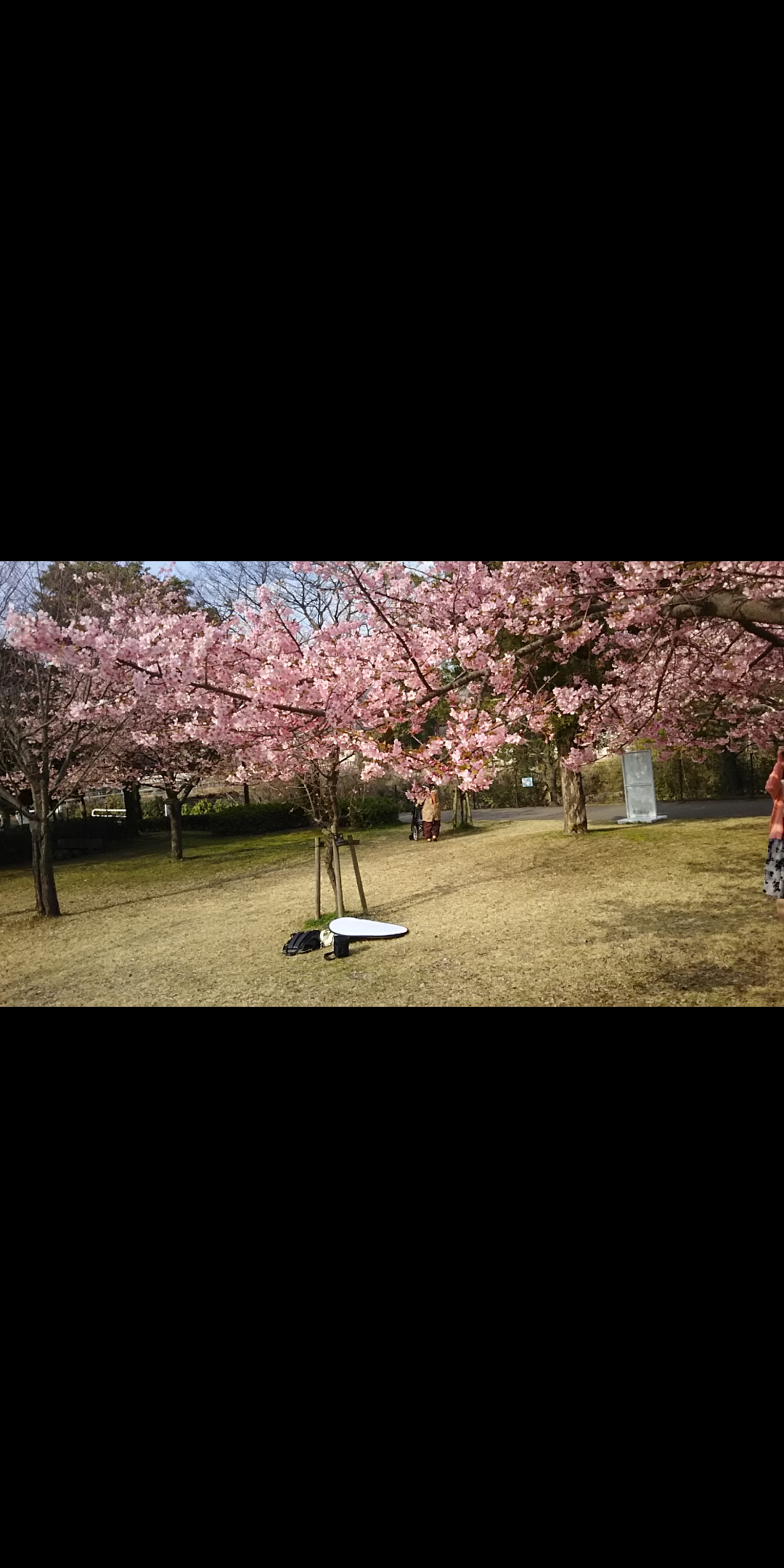 #石橋記念公園&nbsp;#鹿児島市-1
