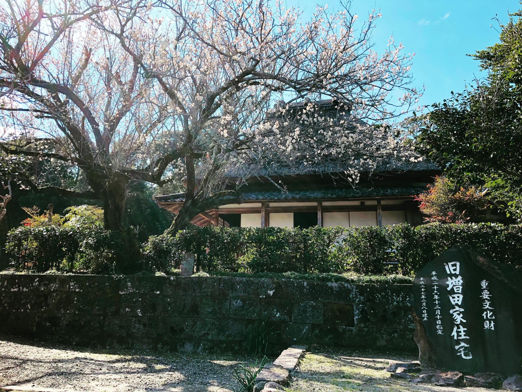 #入来麓武家屋敷群&nbsp;#薩摩川内市-1
