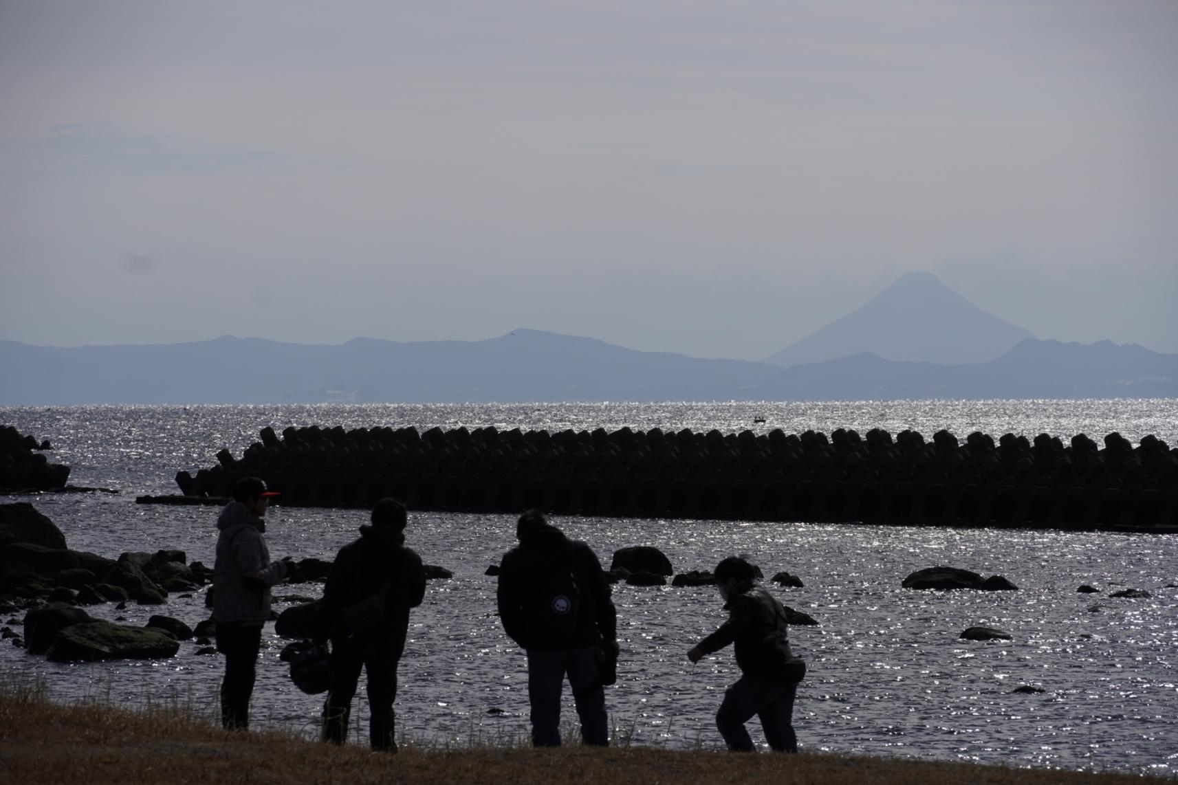 #海潟さくら公園 #垂水市-1