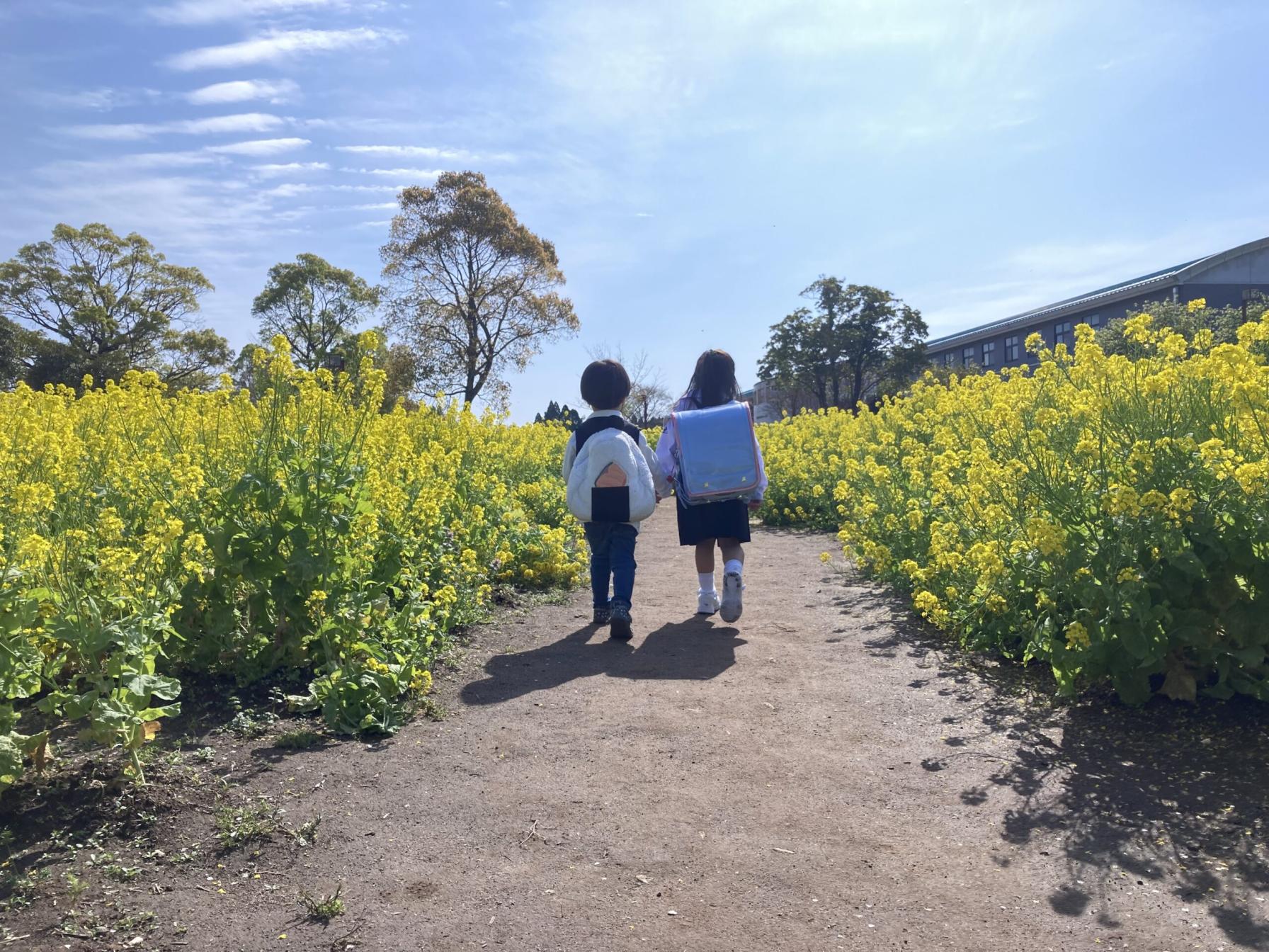 #鹿児島市都市農業センター #鹿児島市-1