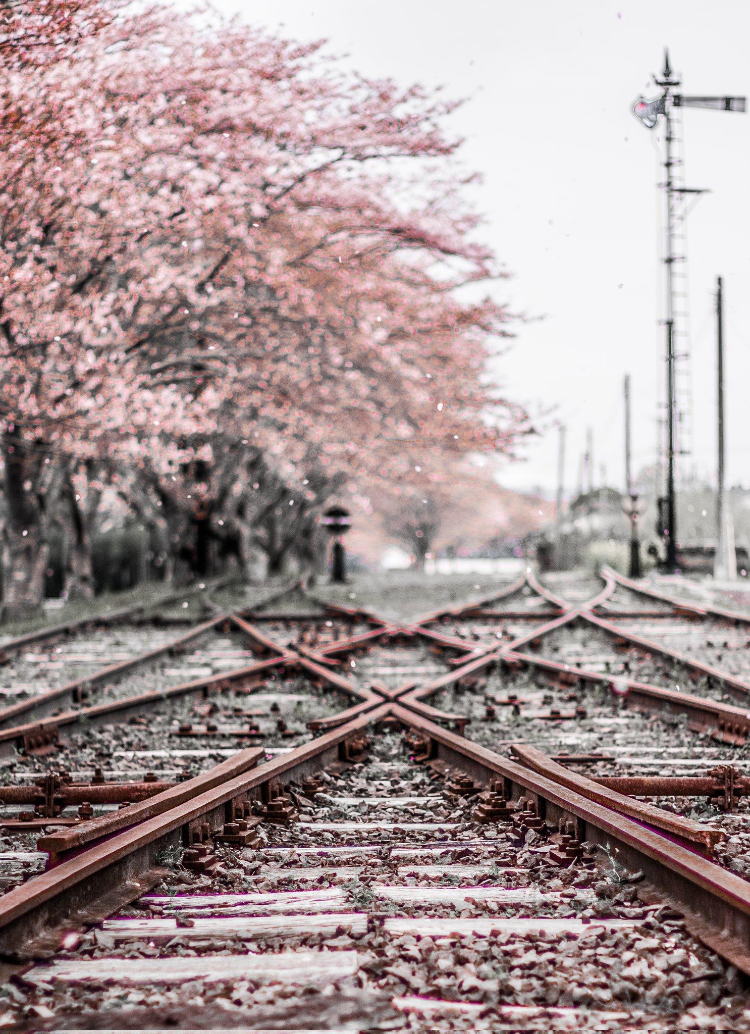 #永野鉄道記念館（国鉄宮之城線薩摩永野駅跡） #さつま町-1