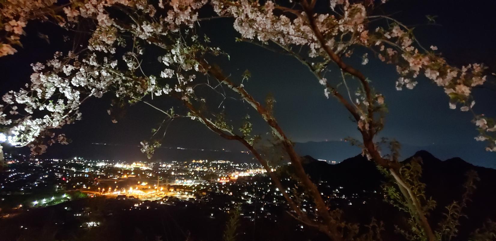 #高岡公園&nbsp;#姶良市-1