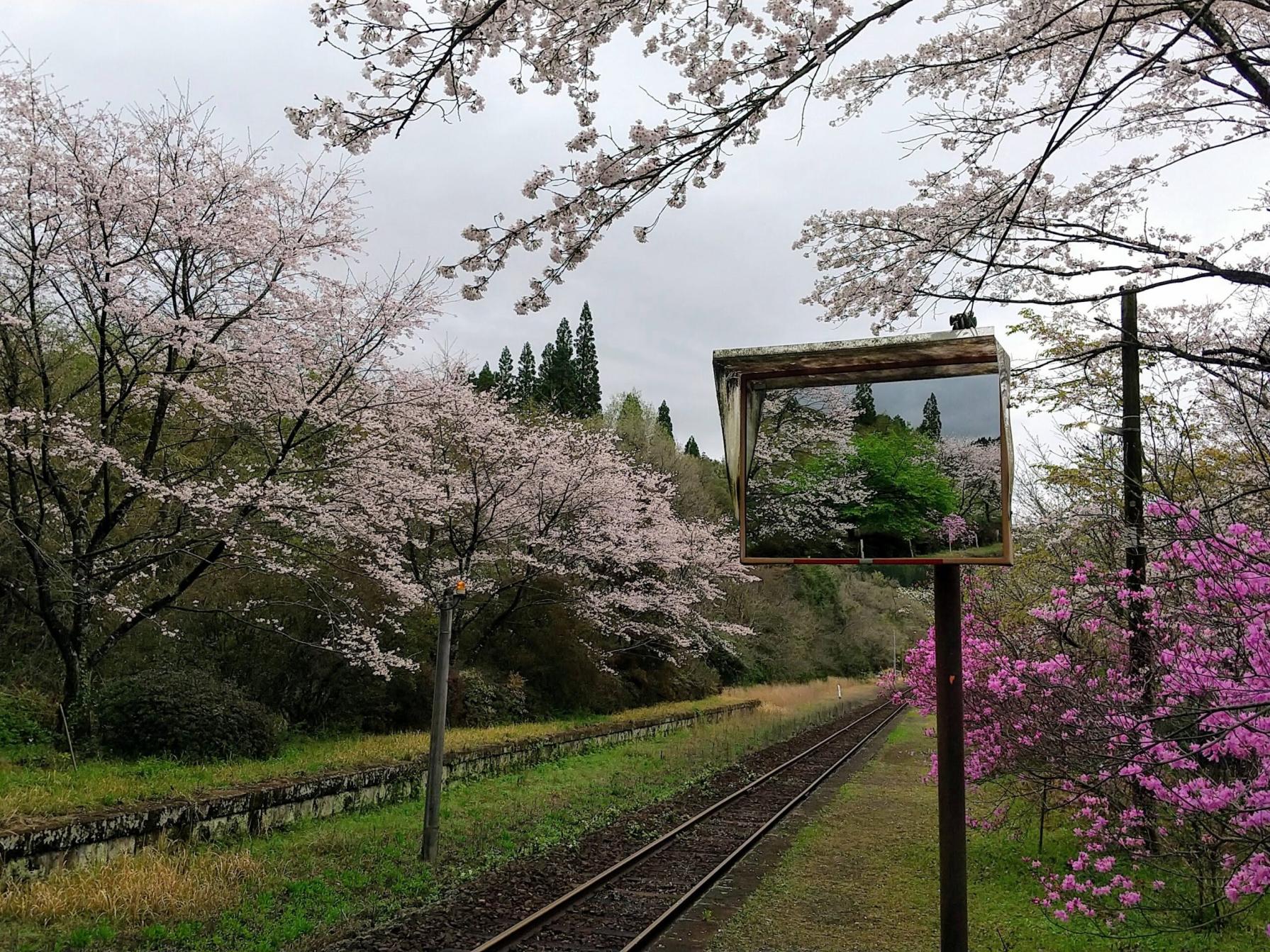 #嘉例川駅 #霧島市-1