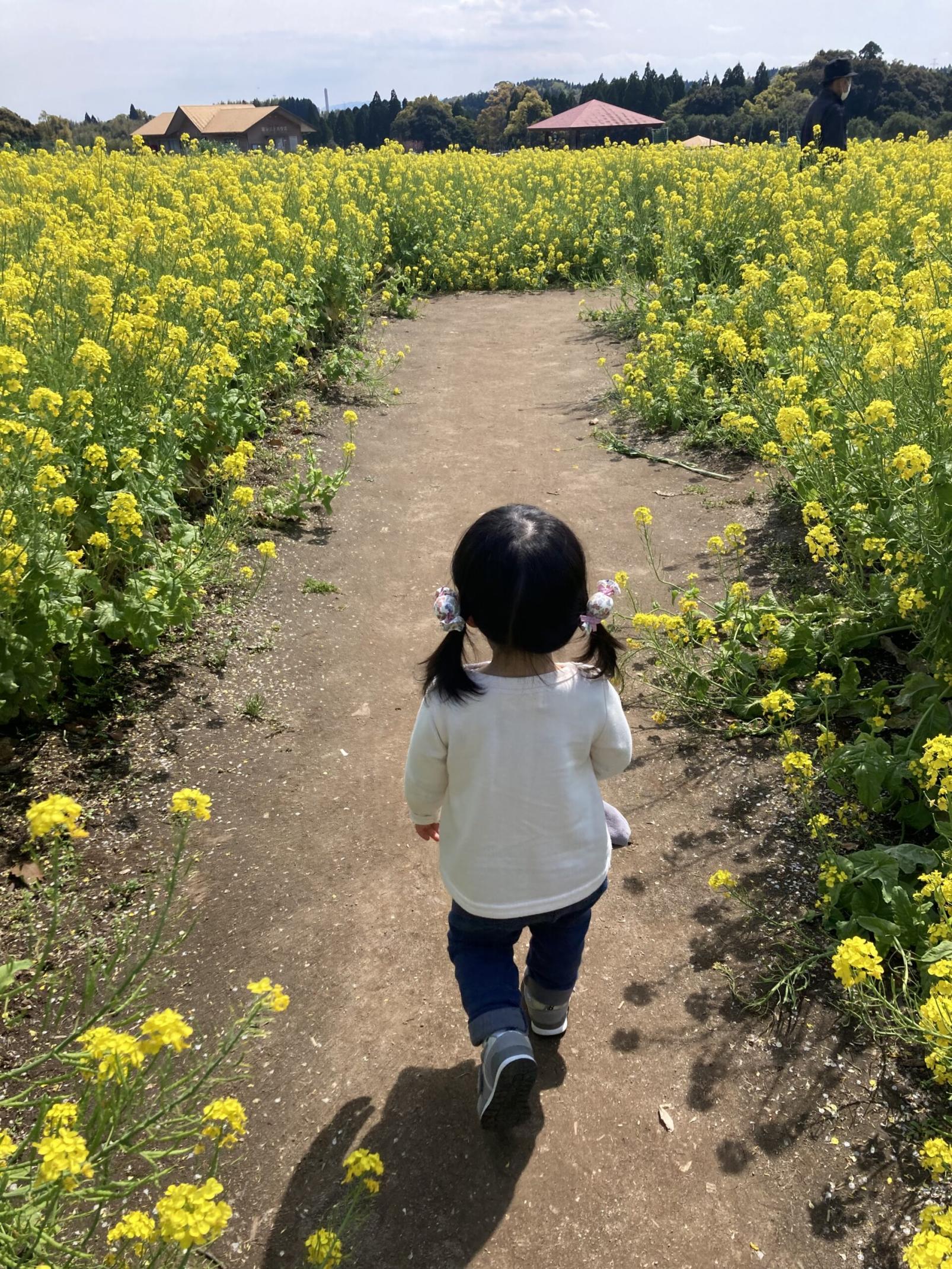 #鹿児島市都市農業センター #鹿児島市-1