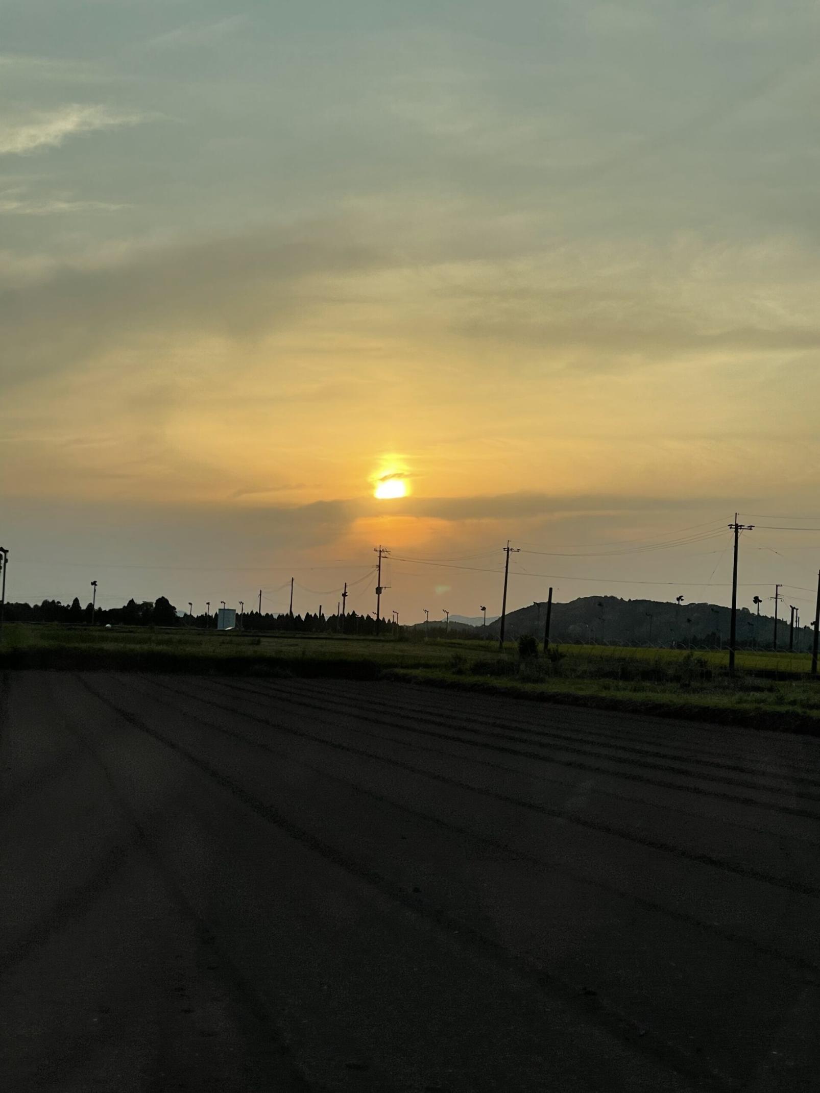 #溝辺町の茶畑&nbsp;#霧島市-1