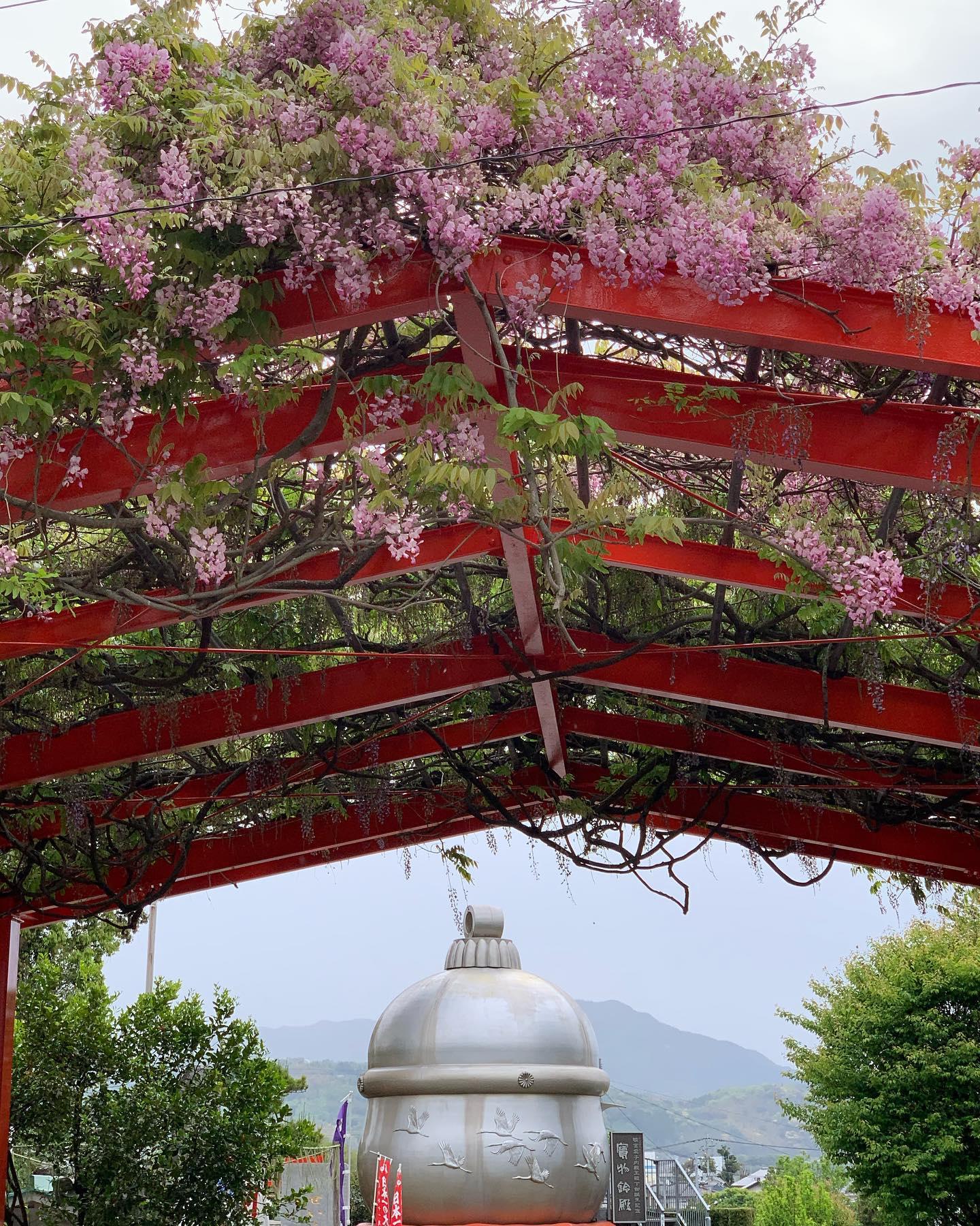 #箱崎八幡神社 #出水市-1