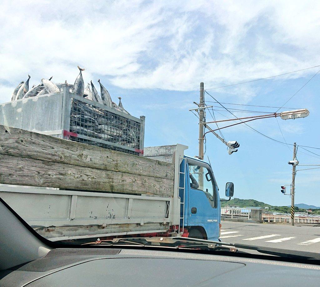#カツオを載せたトラック&nbsp;#枕崎市-1