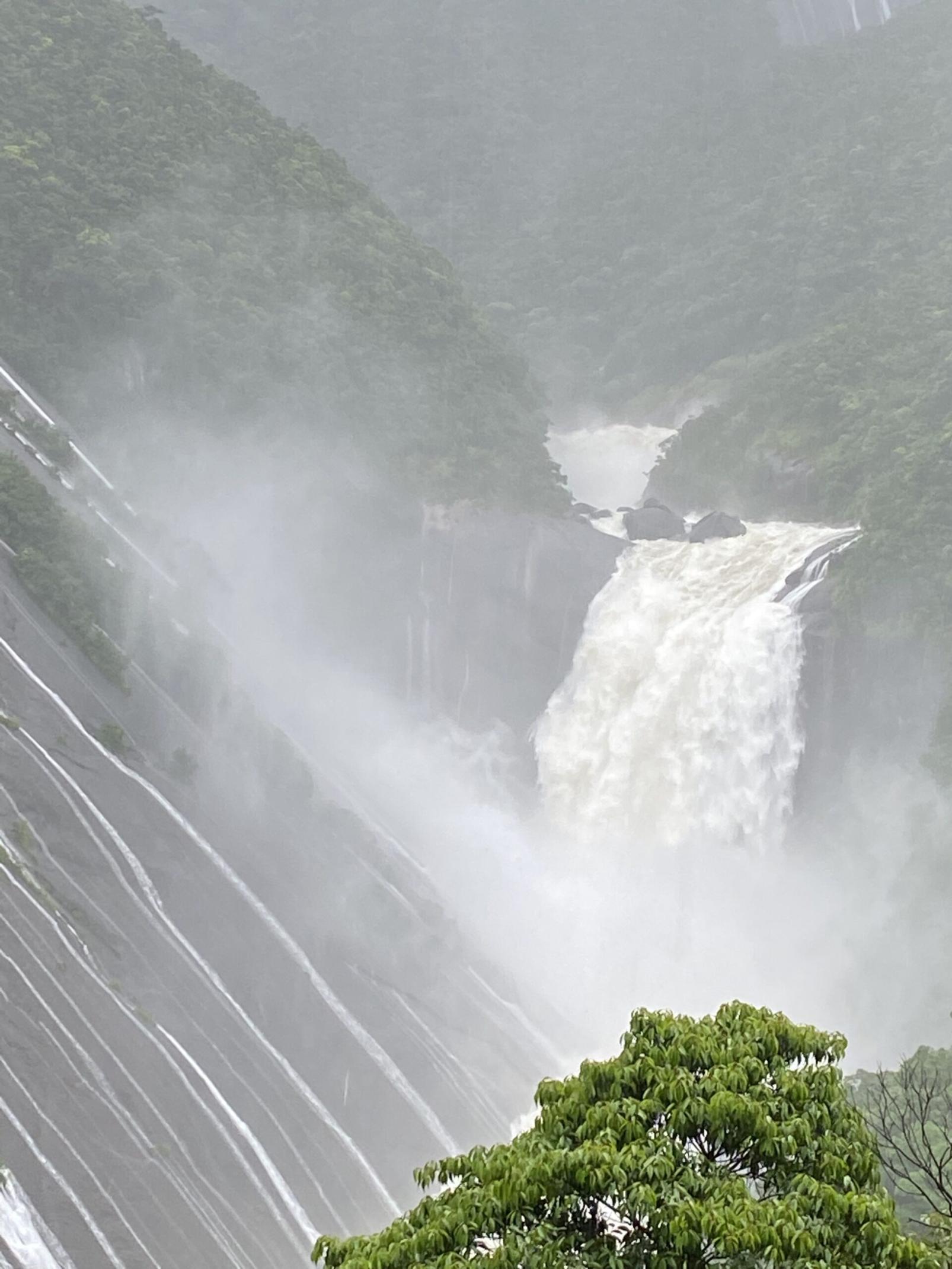 #千尋の滝&nbsp;#屋久島(屋久島町)-1