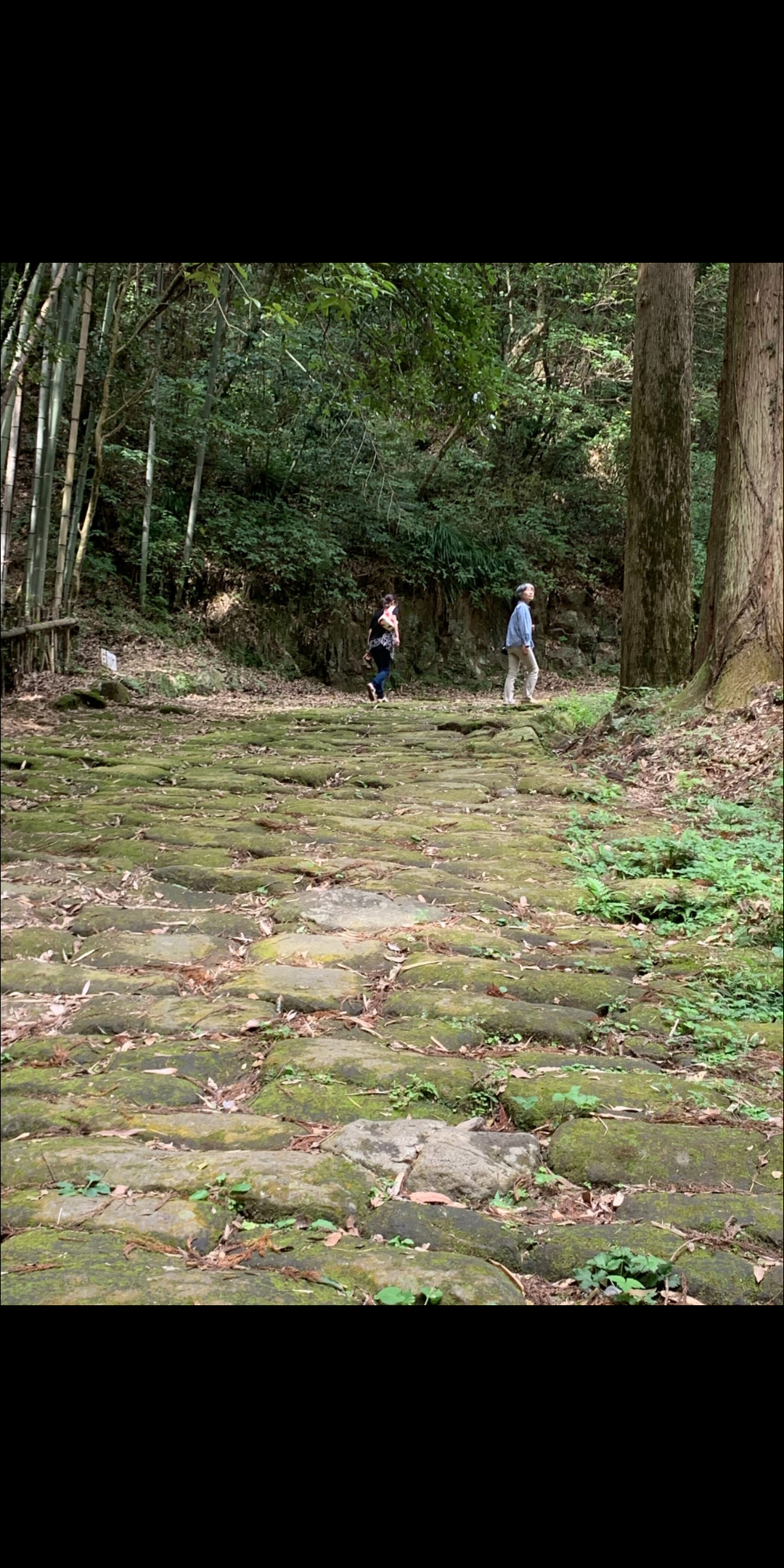 #龍門司坂&nbsp;#姶良市-1
