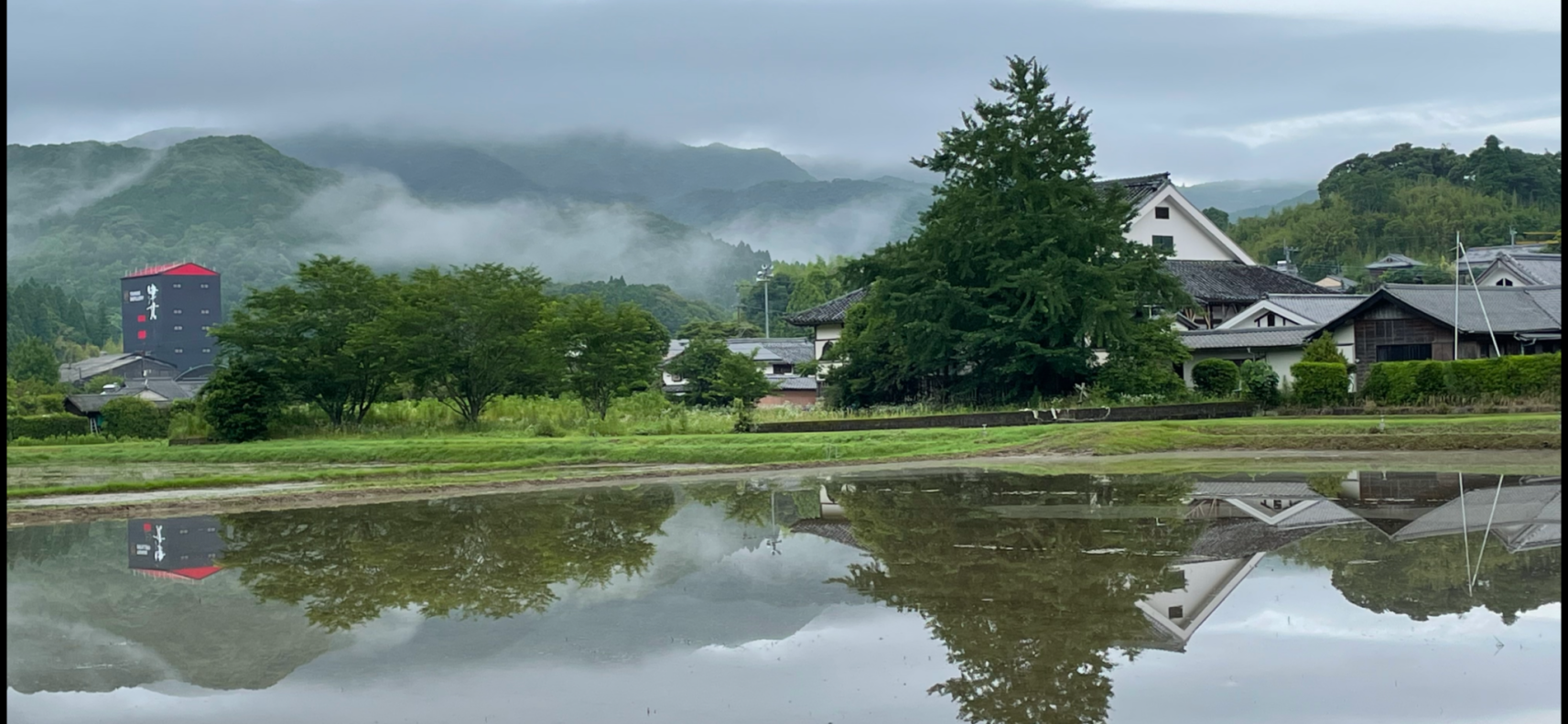 #加世田津貫地区の田んぼ&nbsp;#南さつま市-1