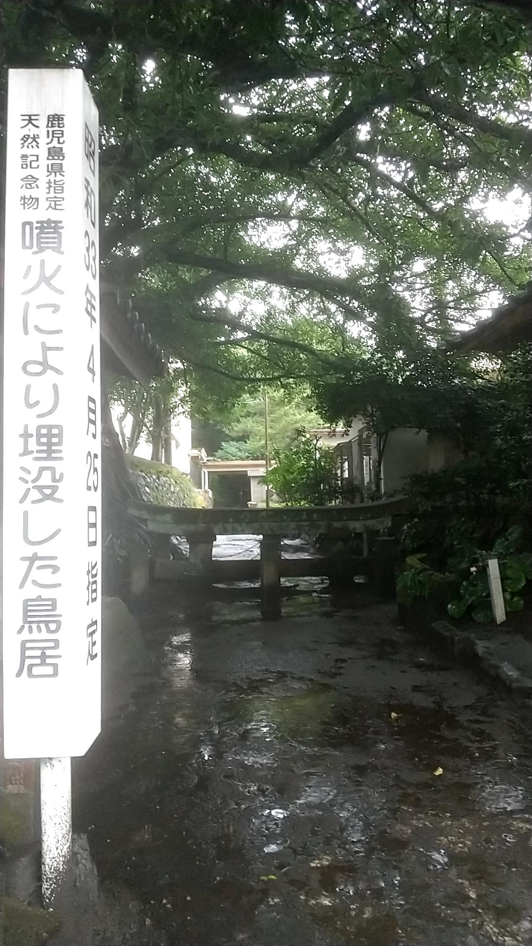 #黒神埋没鳥居&nbsp;#鹿児島市-1