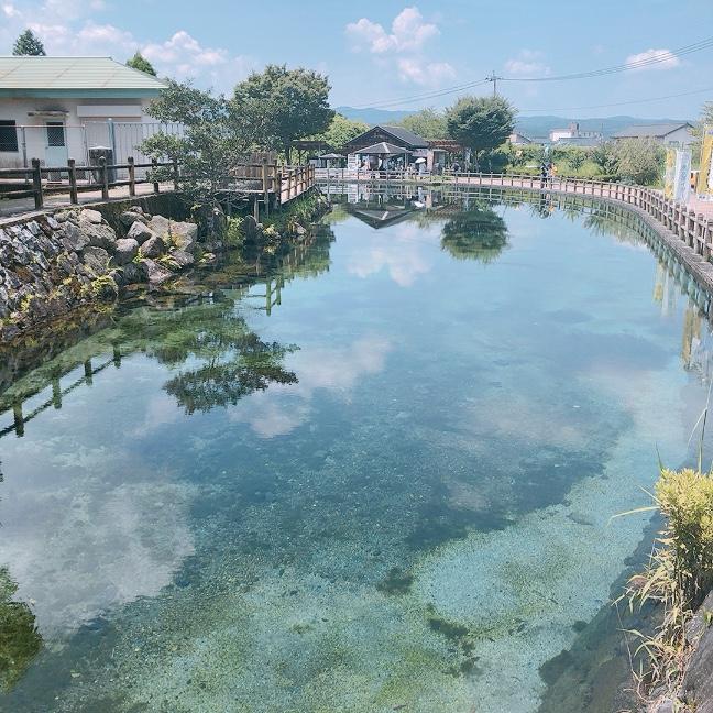 #丸池湧水&nbsp;#湧水町-1