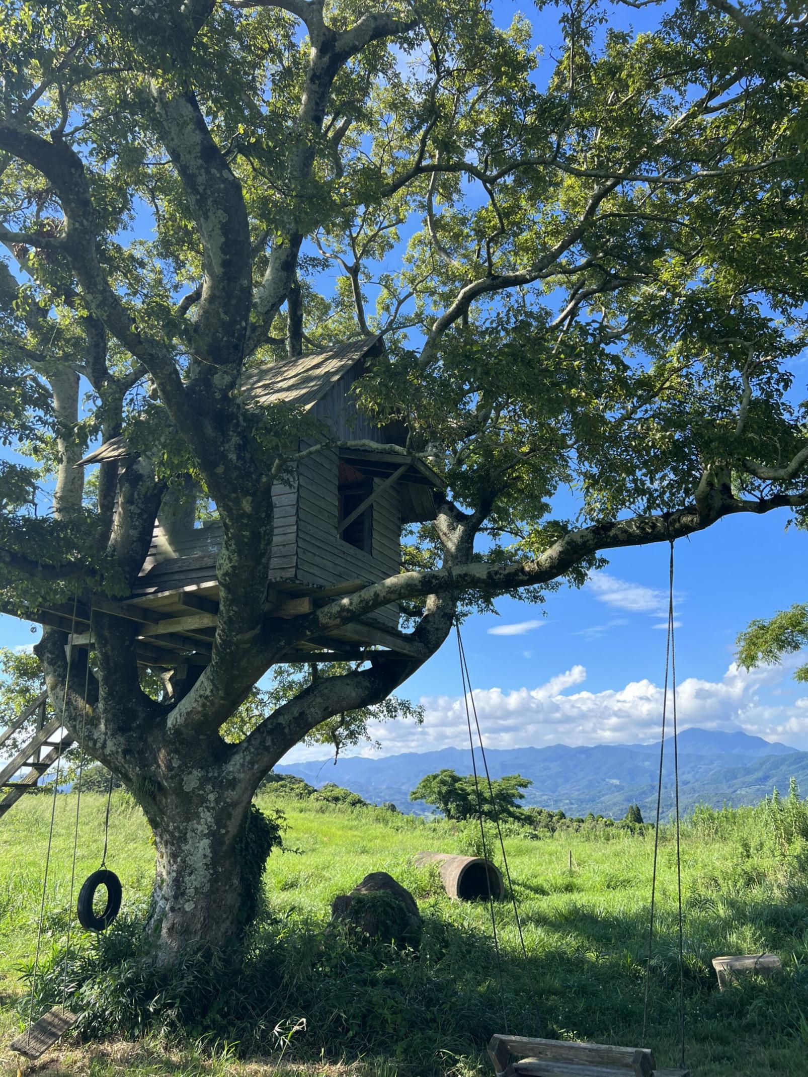 #寺山牧場&nbsp;#薩摩川内市-1