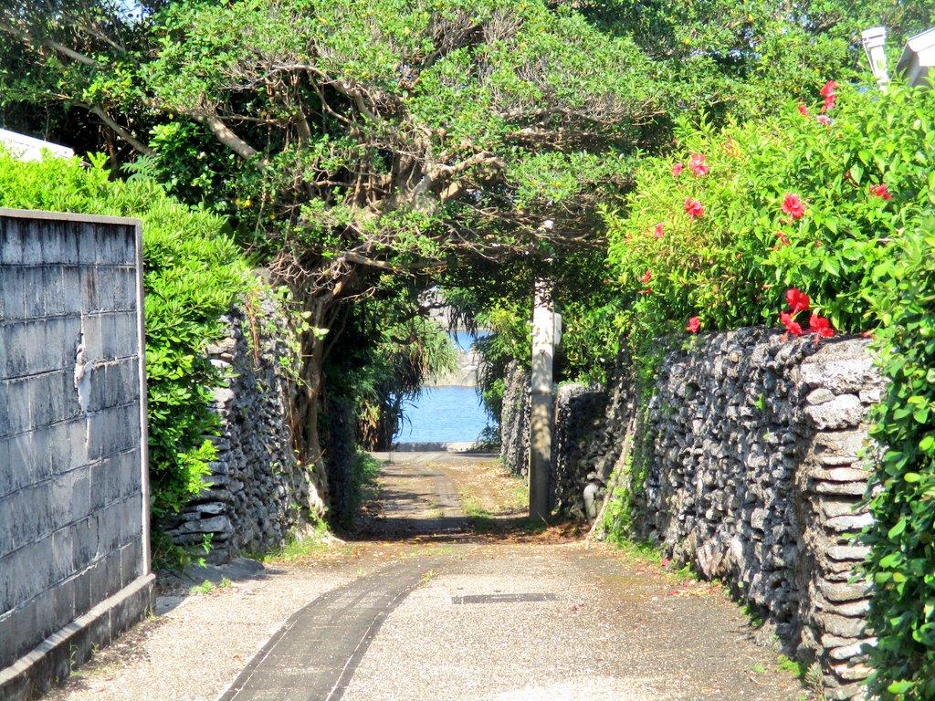 #サンゴの石垣&nbsp;#与路島(瀬戸内町)-1
